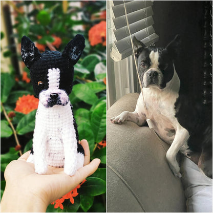 PUPAZZAMI ANIMALE Il tuo Mini-Me personalizzato